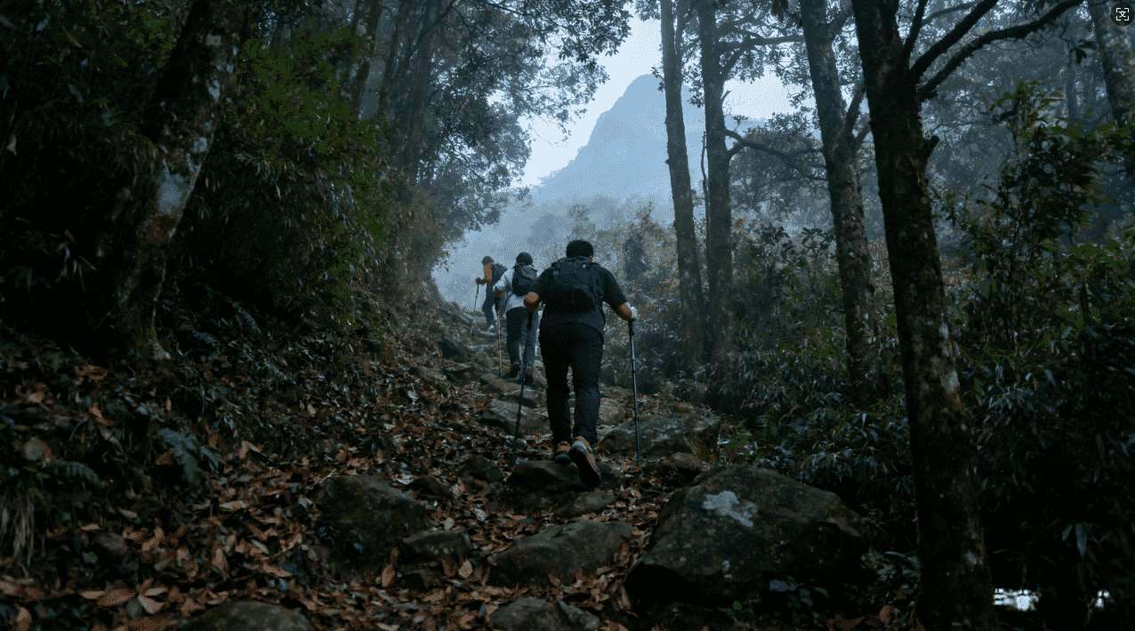 原子链加速器官方下载详细指南